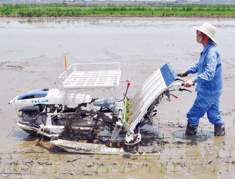 About The Rice Transplanter You Need to Know
